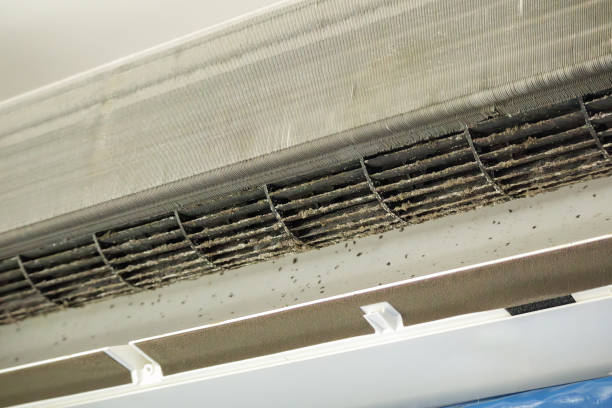 Best Affordable Duct Cleaning Services  in Keowee Key, SC